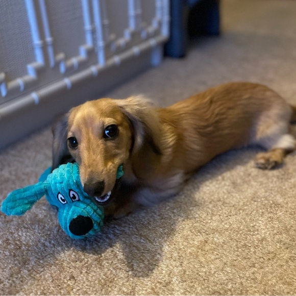 Meet your Posher, Flamingo - Picture 2 of 3